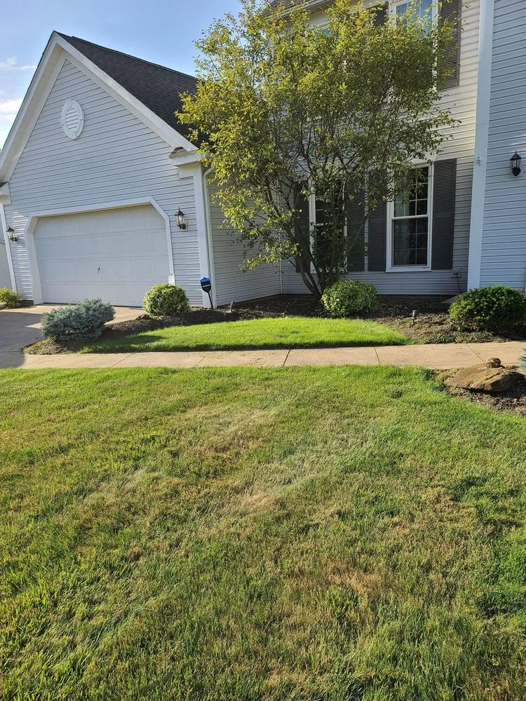 Local residential landscaping experts serving Norton, OH - Moss Field Services