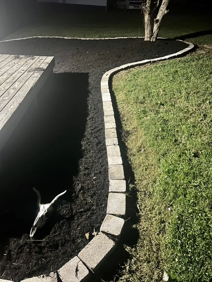 Trusted yard cleanup service experts serving Asheville, NC - Moss Landscaping