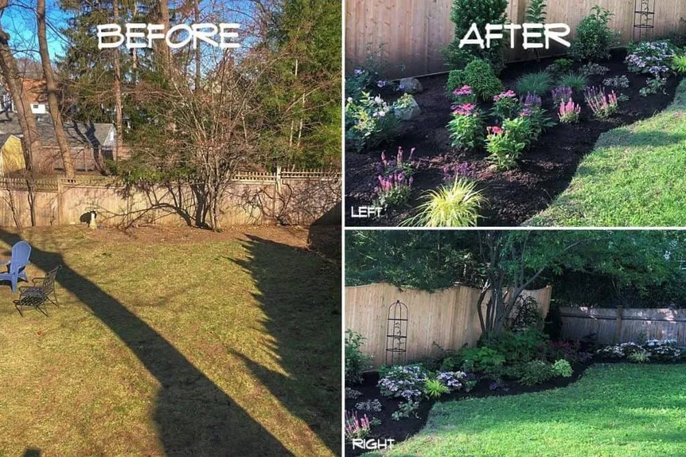 Expert landscape installation for year-round maintenance across Asheville, NC - Moss Landscaping