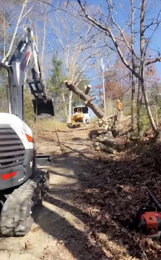 Trusted garden landscaping experts serving Asheville, NC - Moss Landscaping