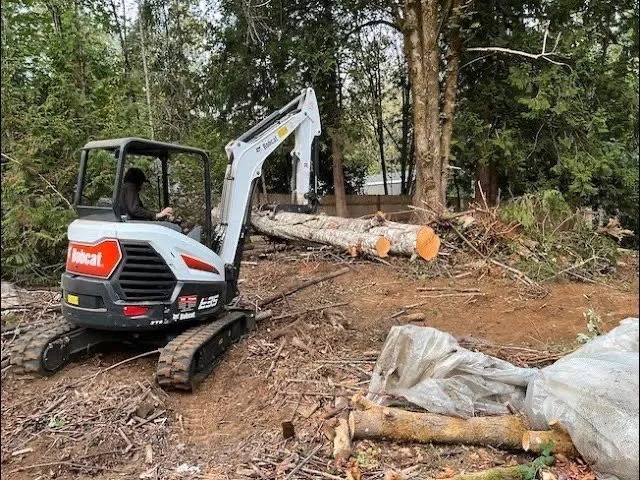 Local yard cleanup service with custom design in Asheville, NC by Moss Landscaping