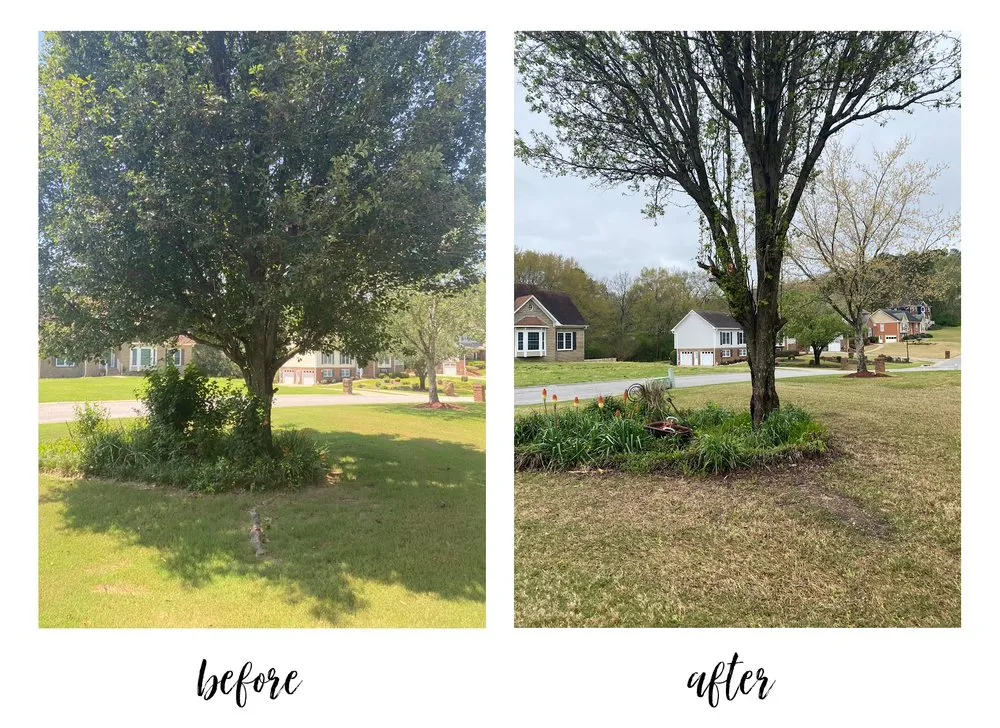 Expert outdoor landscaping in Asheville, NC - Moss Landscaping