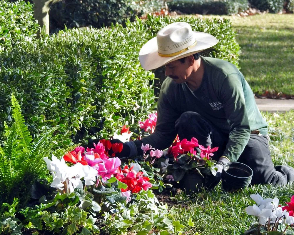 Trusted lawn mowing service experts serving Houston, TX - Moss Landscaping