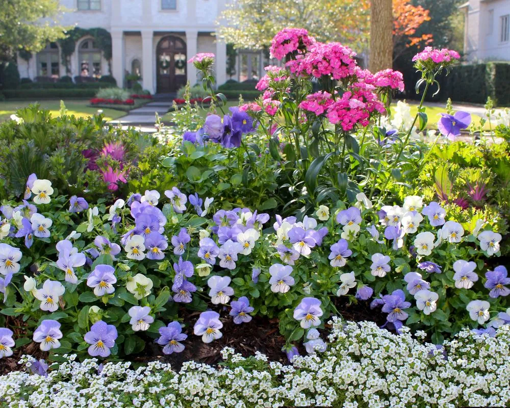 Expert yard cleanup service for homes across Houston, TX - Moss Landscaping