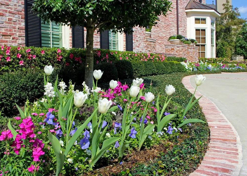 Top-rated lawn care service in Houston, TX - Moss Landscaping