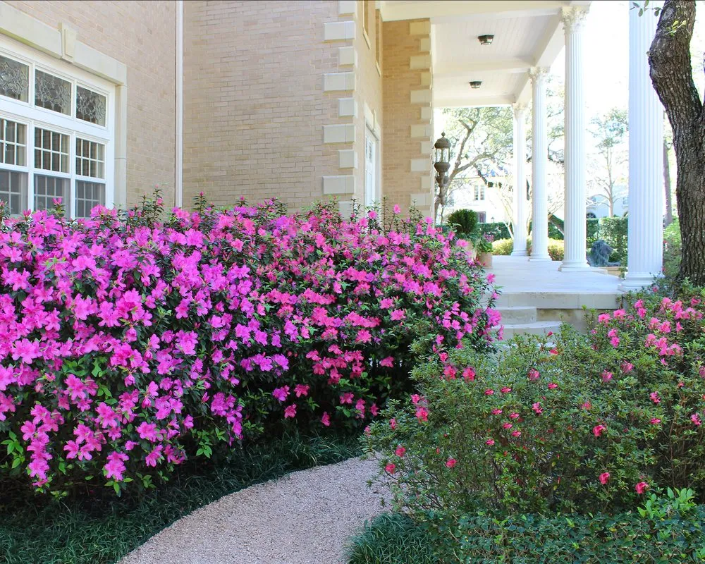 Custom yard cleanup service with custom design in Houston, TX by Moss Landscaping