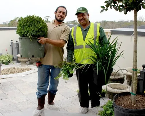 Moss Landscaping Logo