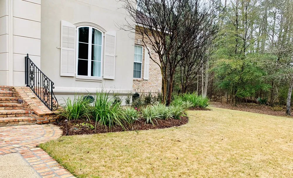 Trusted yard cleanup service experts serving Kenner, LA - Moss Landscaping