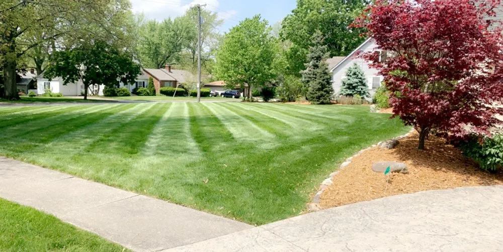 Reliable yard cleanup service with custom design in Crown Point, IN by Moss Lawn Improvement