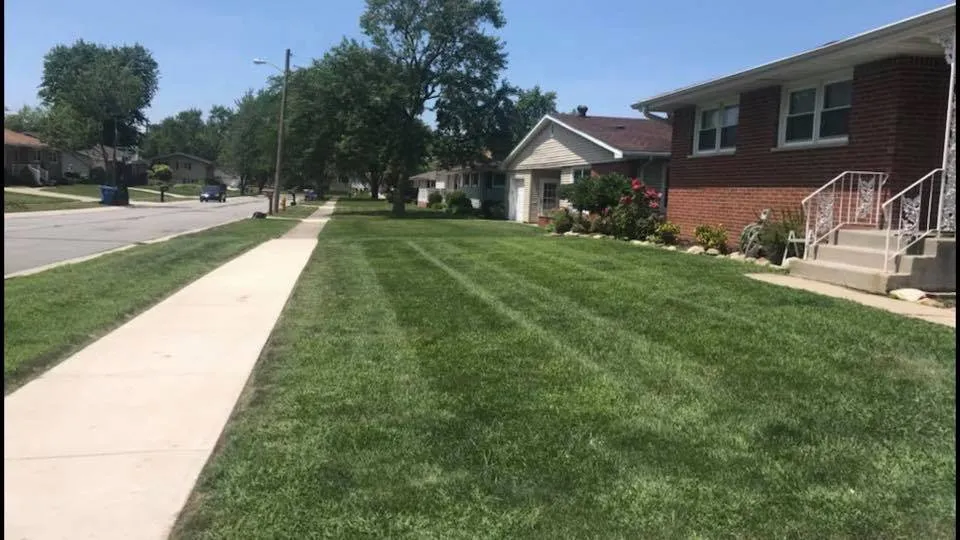 Trusted outdoor landscaping in Crown Point, IN by Moss Lawn Improvement