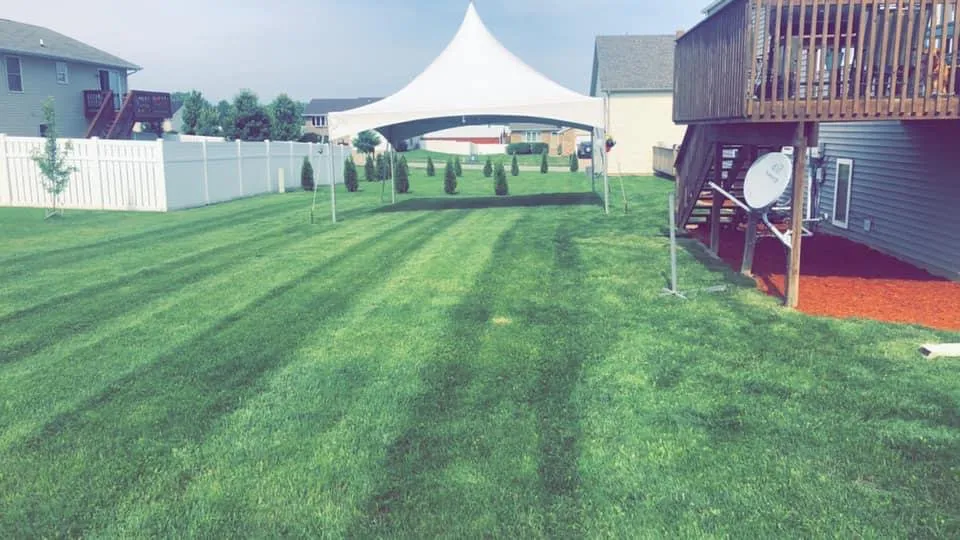 Trusted landscape design in Crown Point, IN by Moss Lawn Improvement