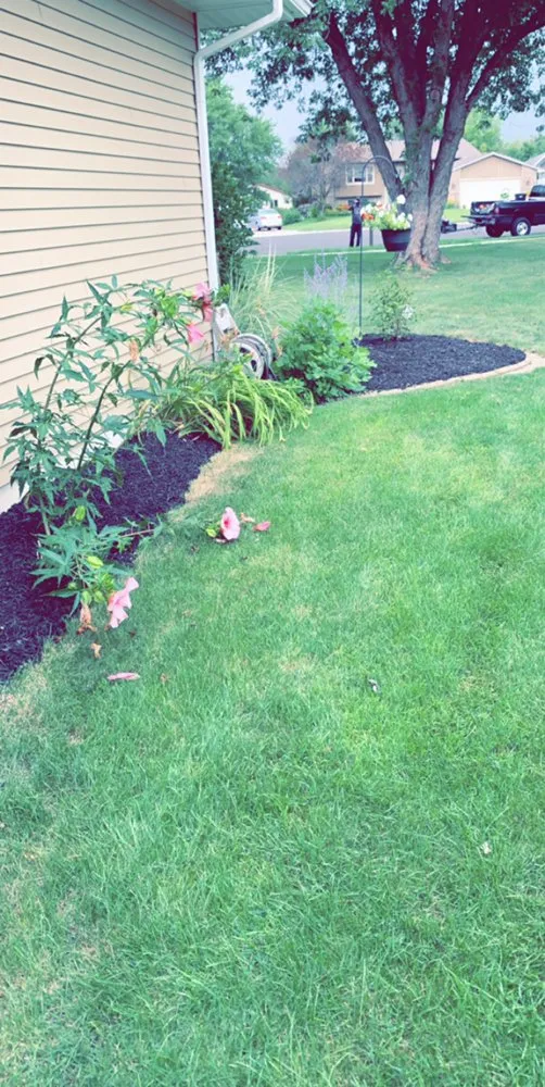 Affordable landscape design for residential properties across Crown Point, IN - Moss Lawn Improvement