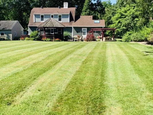 Moss Lawn Improvement Logo