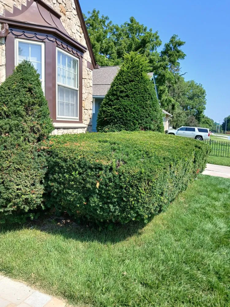 Custom landscaping services experts serving Omaha, NE - Moss Mowing And More