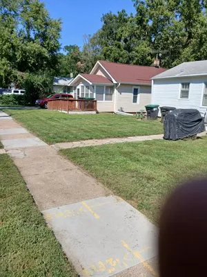 Moss Mowing And More Logo