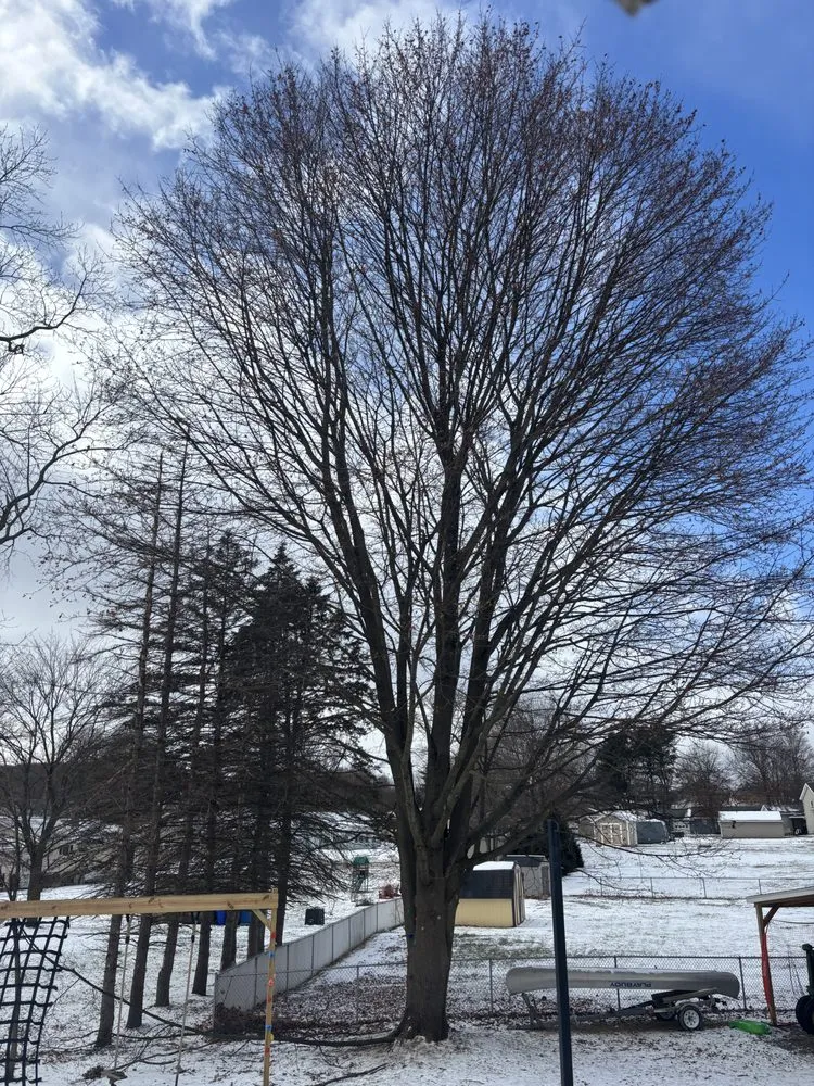 Local landscape design for beautiful yards in Ulster, PA by Moss Outdoor