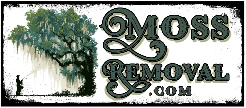 Custom lawn care service in Leesburg, FL - Moss Removal