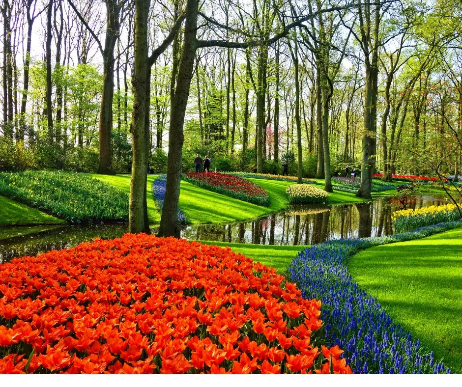 Professional yard cleanup service in Montgomery, NY by Mossy Landscaping