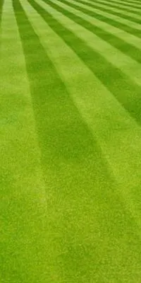 Mossy Ridge Lawn Care