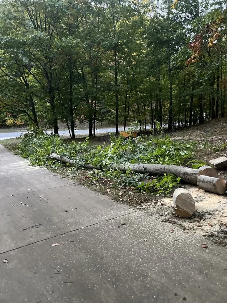 Top-rated landscape design experts serving Interlochen, MI - Mossy Ridge Outdoor Services