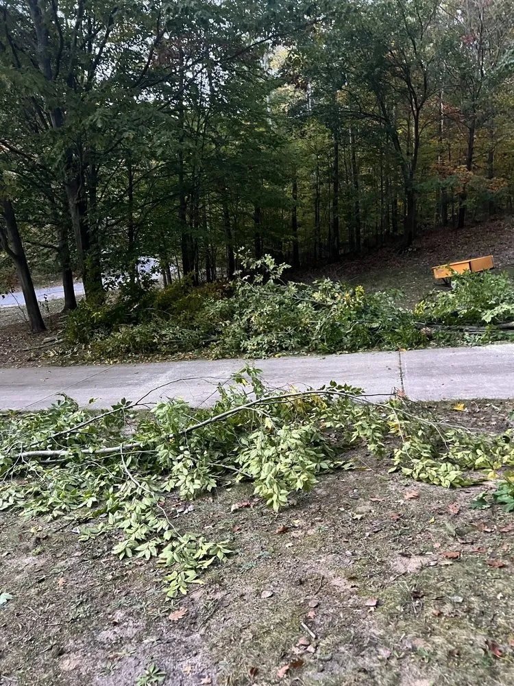 Professional yard maintenance for residential properties across Interlochen, MI - Mossy Ridge Outdoor Services