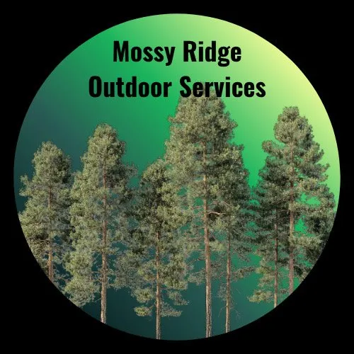 Affordable landscape design in Interlochen, MI by Mossy Ridge Outdoor Services