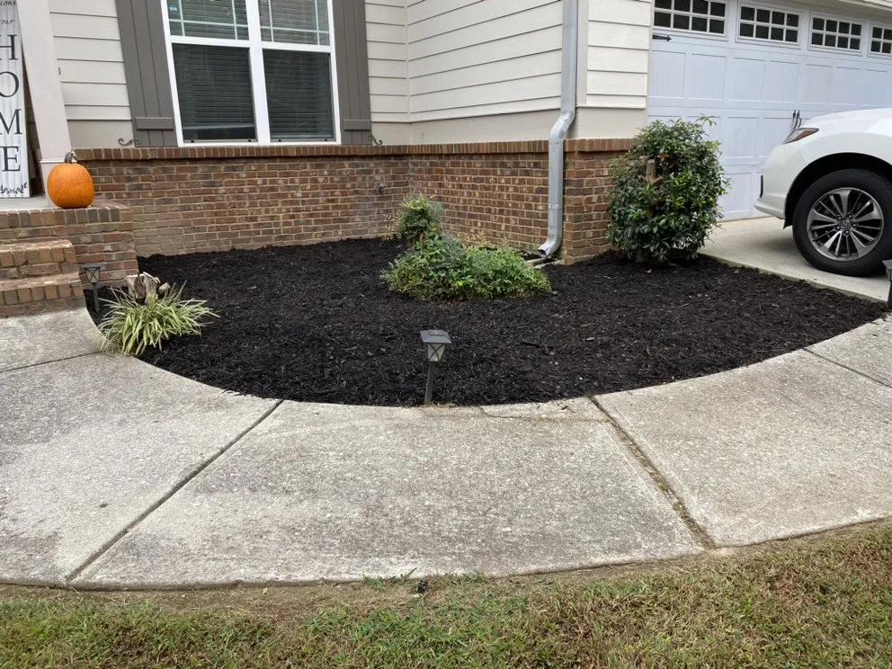 Top-rated lawn care service experts serving Atlanta, GA - Most Wanted Property Services