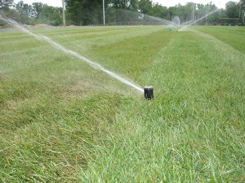 Professional yard cleanup service for residential properties in Brookville, IN by Moster Turf