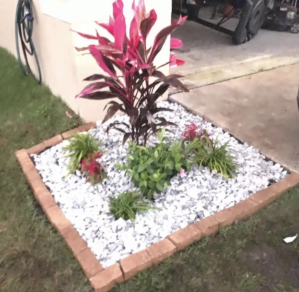 Professional outdoor landscaping in SUN CITY CENTER, FL by MOSTLY CLEAN