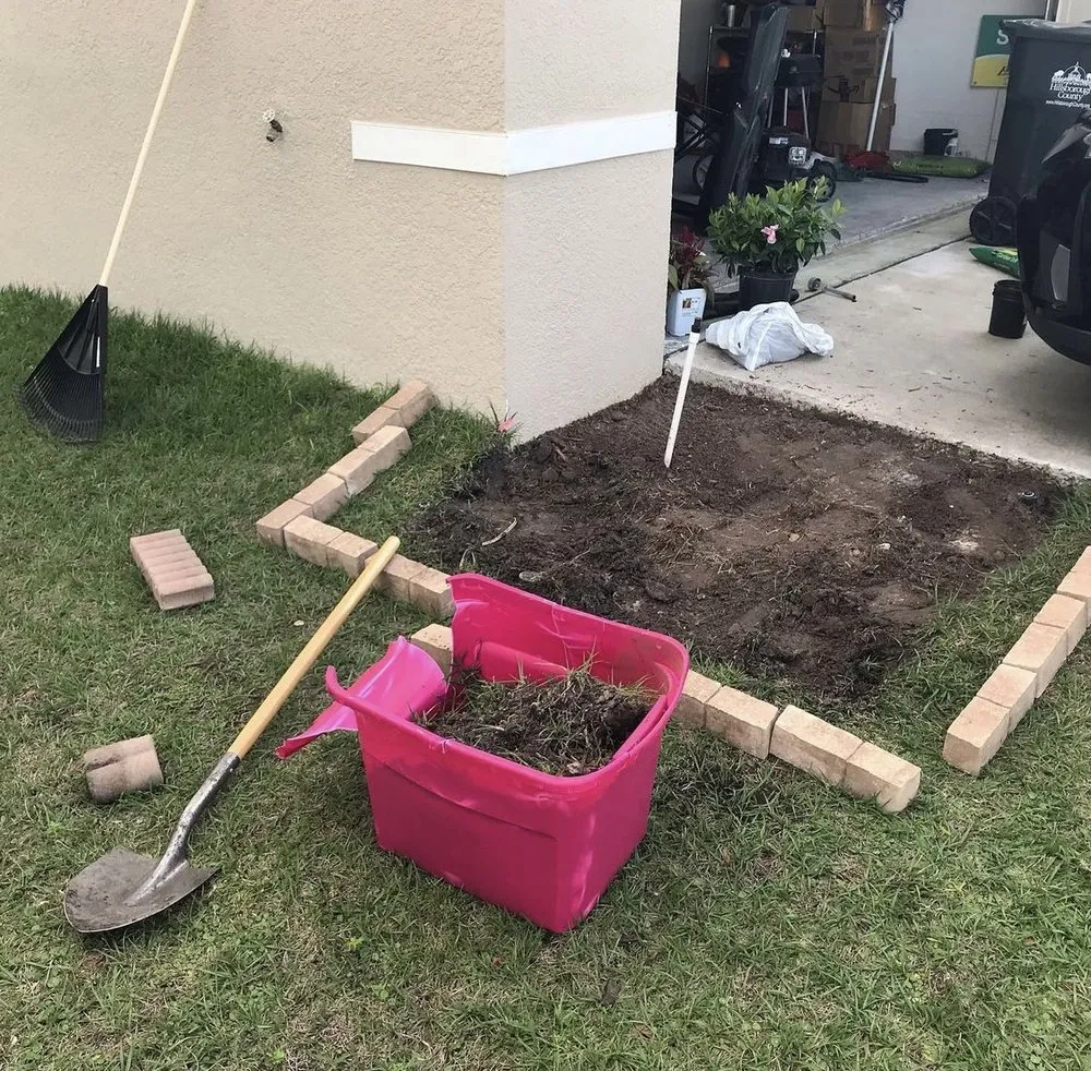 Local yard maintenance experts serving SUN CITY CENTER, FL - MOSTLY CLEAN