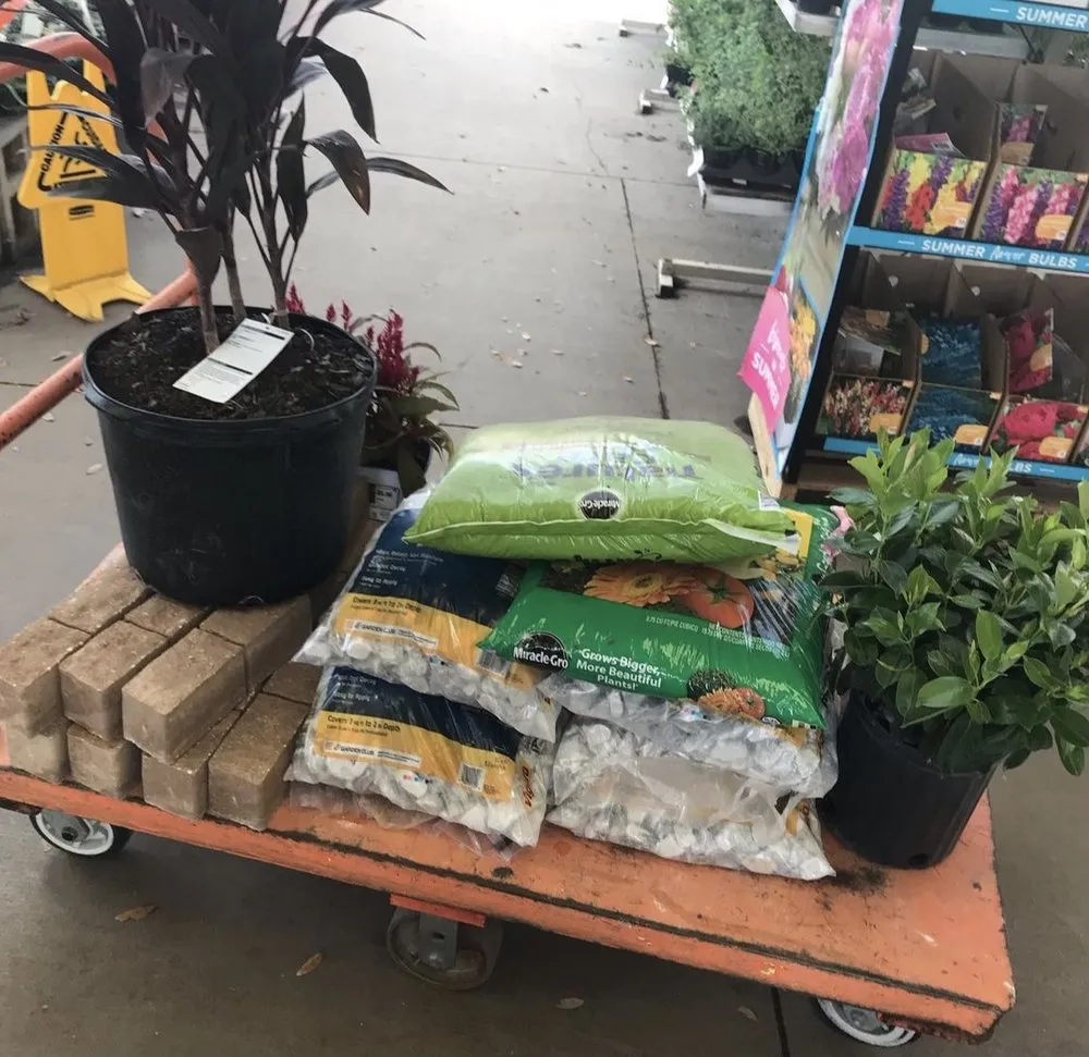 Expert landscape design in SUN CITY CENTER, FL - MOSTLY CLEAN