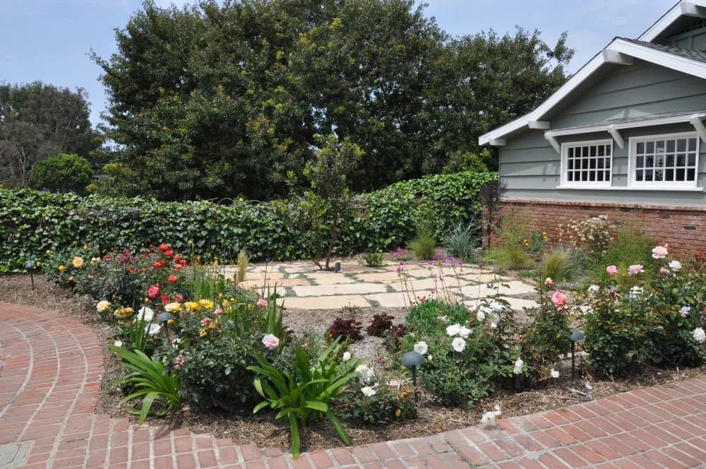 Top-rated residential landscaping near you across Encinitas, CA - Mostly Native Gardens