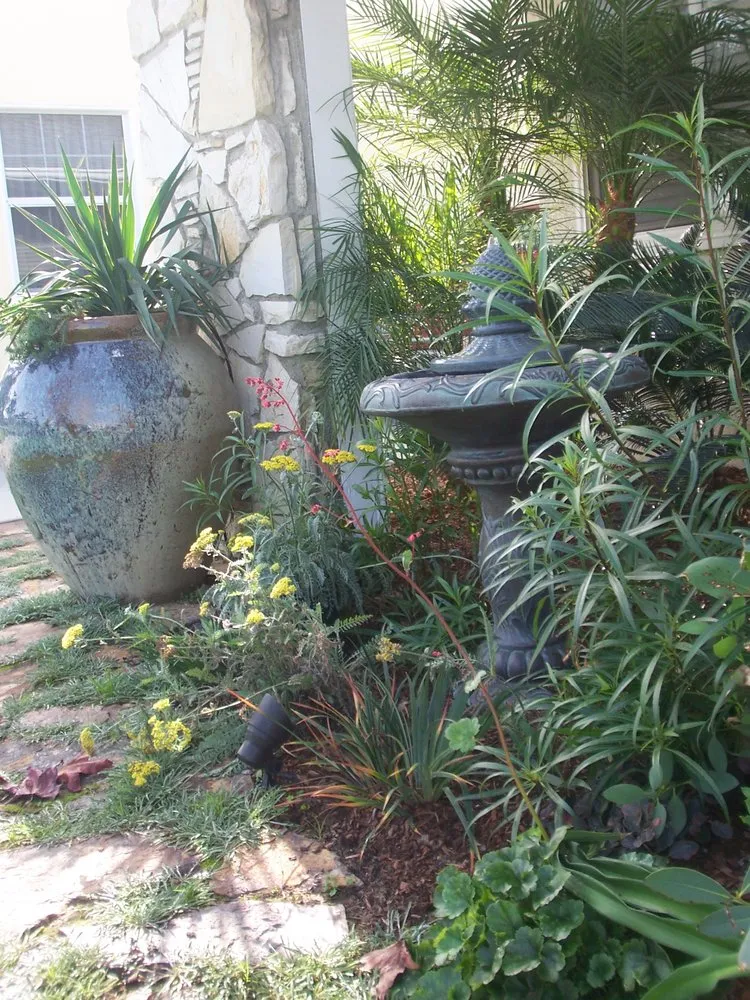 Trusted lawn mowing service in Encinitas, CA by Mostly Native Gardens