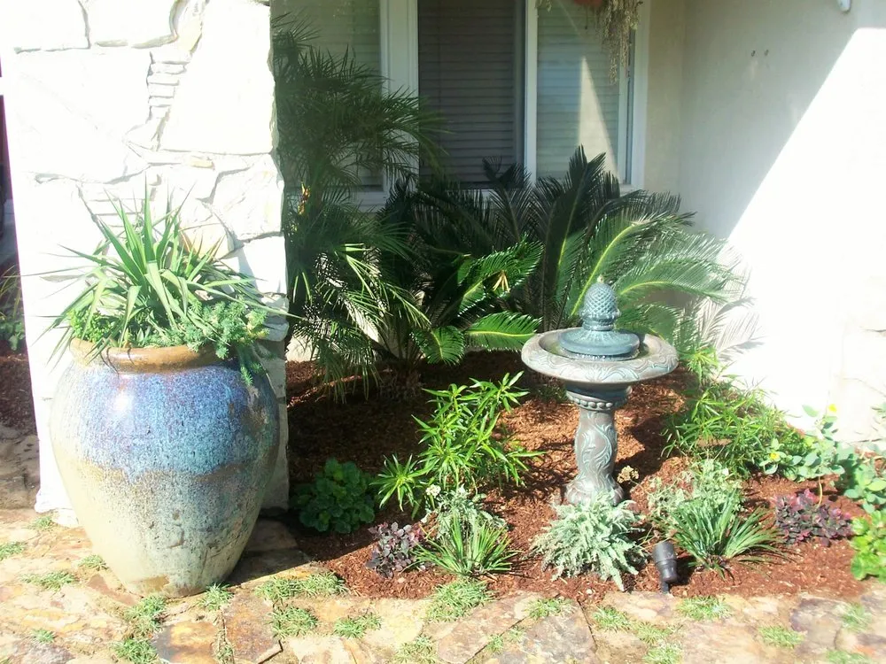 Top-rated residential landscaping for homes across Encinitas, CA - Mostly Native Gardens
