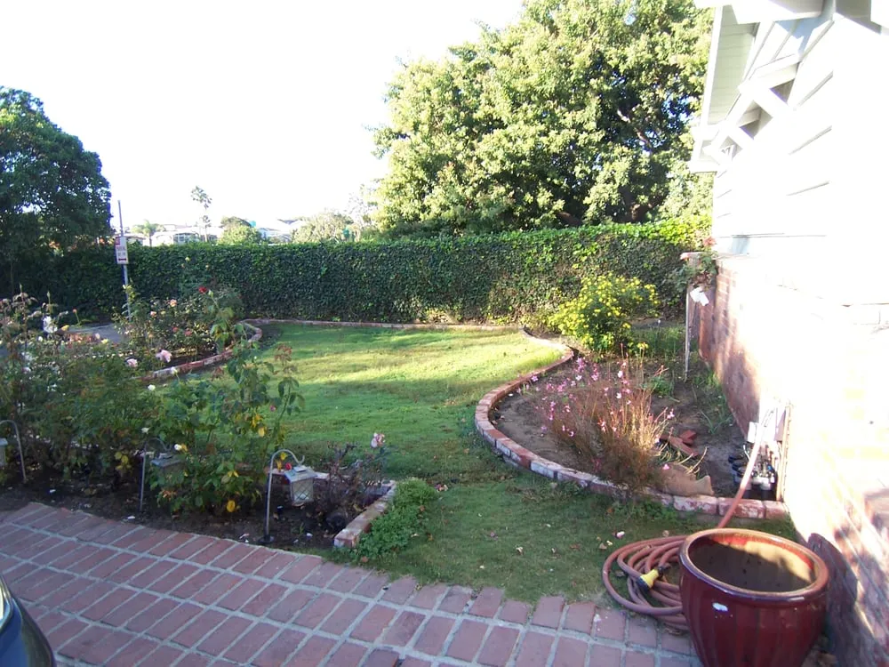 Custom lawn mowing service experts serving Encinitas, CA - Mostly Native Gardens