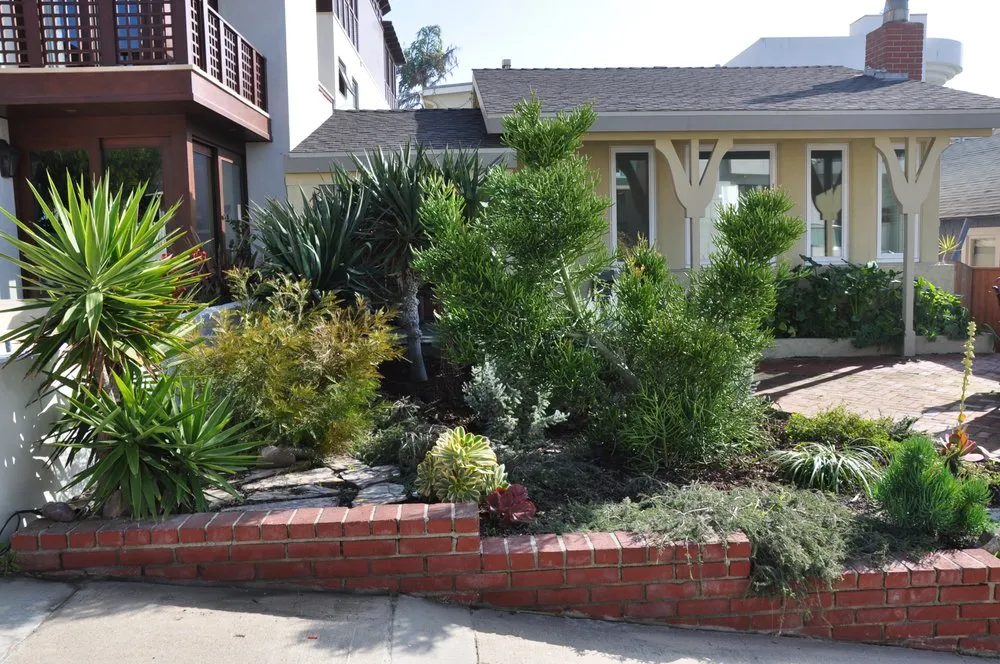 Affordable outdoor landscaping for homes across Encinitas, CA - Mostly Native Gardens