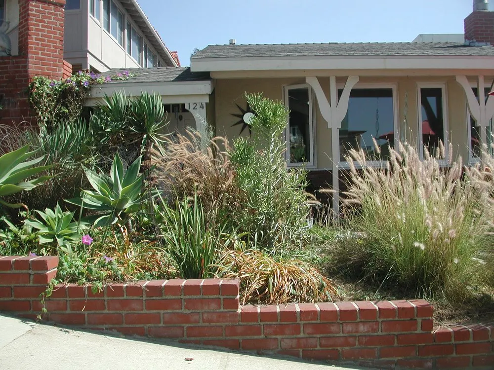 Top-rated lawn care service for outdoor upgrades across Encinitas, CA - Mostly Native Gardens