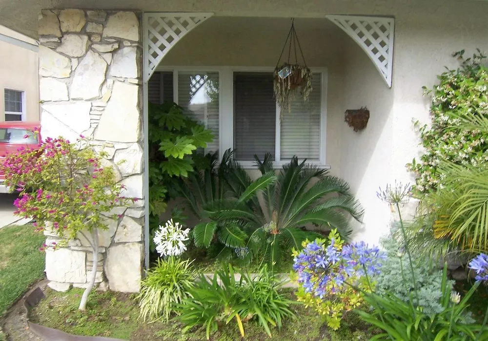 Expert garden landscaping for outdoor upgrades in Encinitas, CA by Mostly Native Gardens
