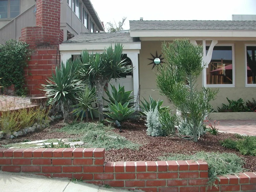 Custom lawn care service for beautiful yards across Encinitas, CA - Mostly Native Gardens