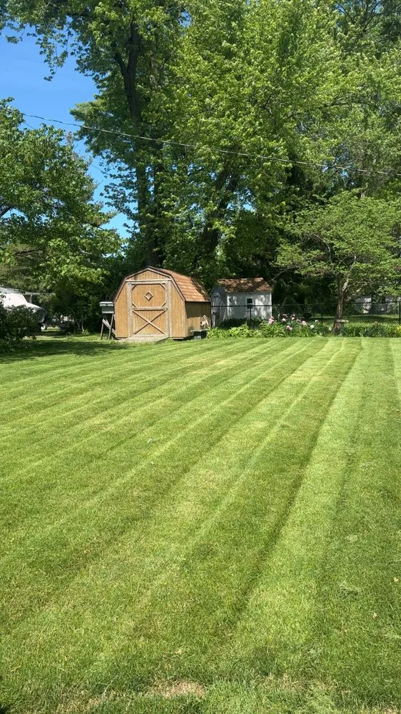 Top-rated yard cleanup service in Solon, IA by Mostrom Landscaping And Concrete