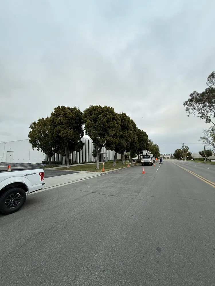 Reliable landscaping services in Santa Ana, CA by Motas Builders & Landscapes