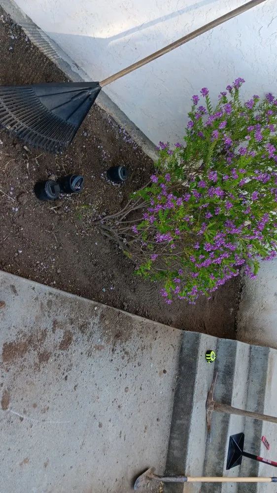 Local landscape design for beautiful yards across Fallbrook, CA - Motas Landscaping