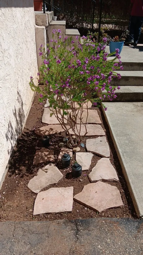 Reliable garden landscaping in Fallbrook, CA by Motas Landscaping