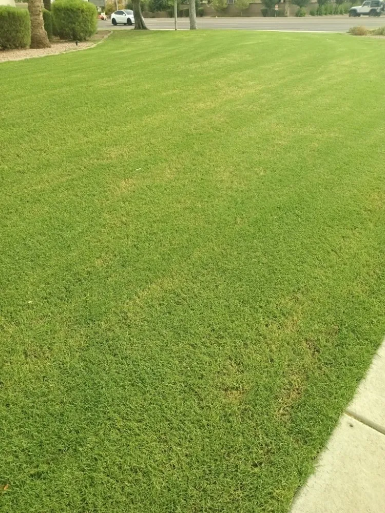 Professional residential landscaping in Casa Grande, AZ by Mother Earth's Construction & Landscaping & Plumbing