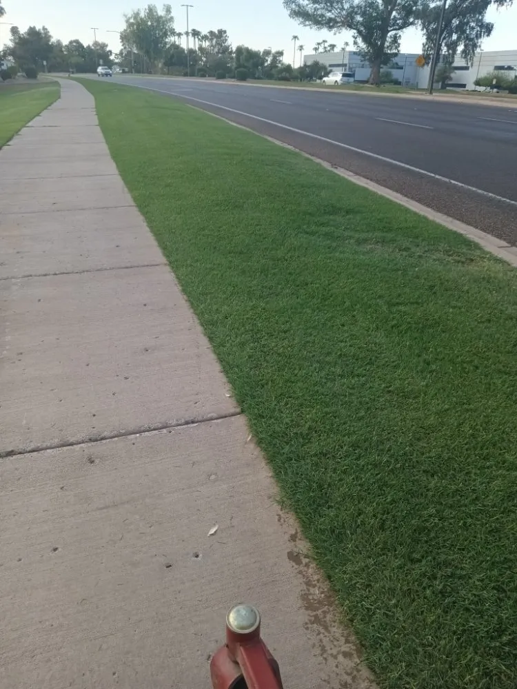 Expert outdoor landscaping for year-round maintenance in Casa Grande, AZ by Mother Earth's Construction & Landscaping & Plumbing