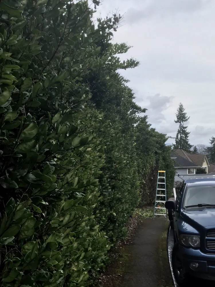 Professional landscape design experts serving Eugene, OR - Mother Lode Landscape and Maintenace