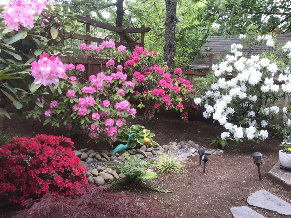 Reliable yard cleanup service experts serving Eugene, OR - Mother Lode Landscape and Maintenace