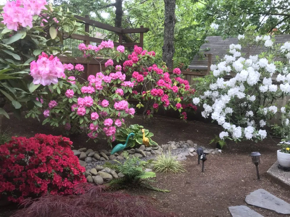 Top-rated garden landscaping near you across Eugene, OR - Mother Lode Landscape and Maintenace
