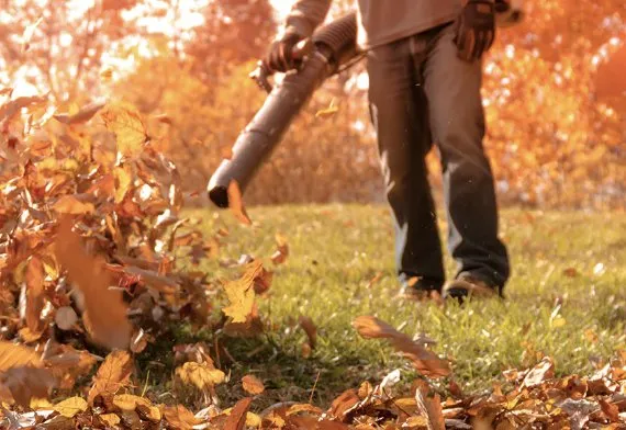 Expert lawn care service in Winnsboro, SC - Mother Nature Cuts