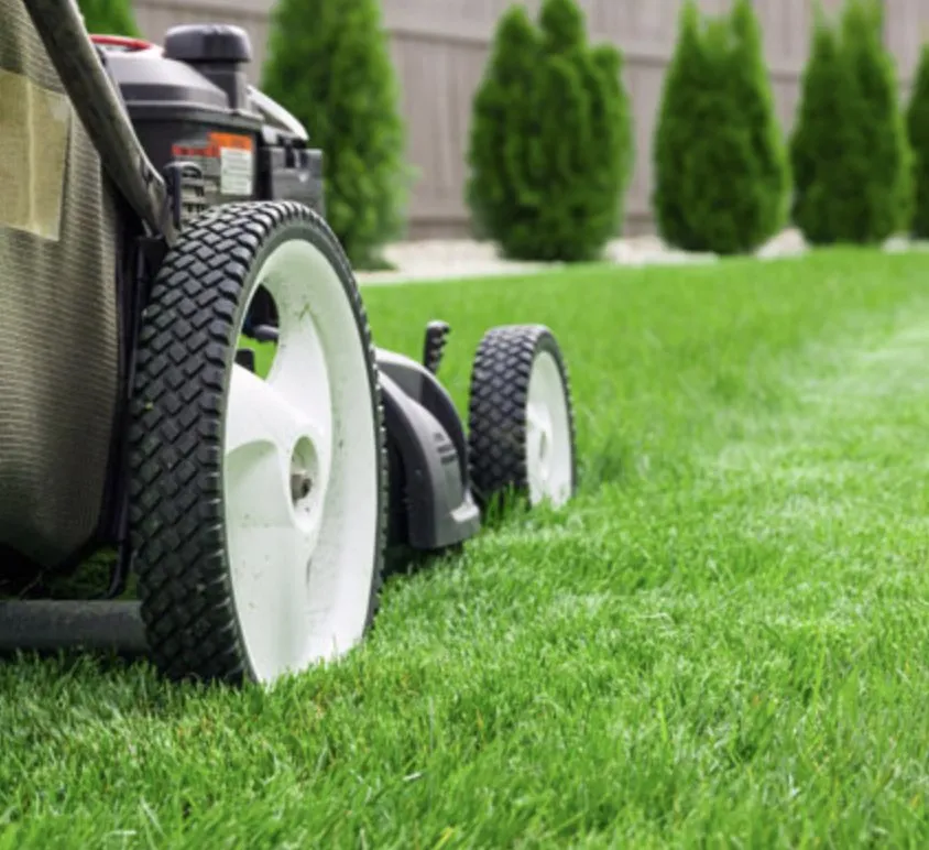 Custom landscape design with custom design across Winnsboro, SC - Mother Nature Cuts